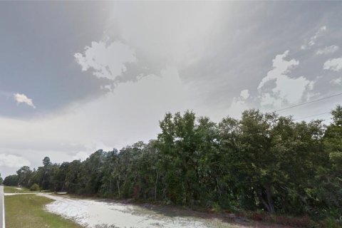 Terreno en venta en Chiefland, Florida № 1754757 - foto 4