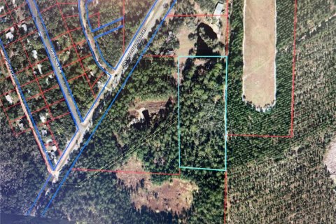 Terreno en venta en Chiefland, Florida № 1754757 - foto 2