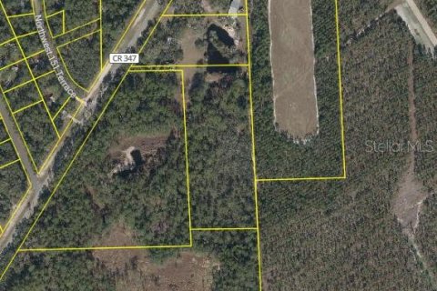 Terreno en venta en Chiefland, Florida № 1754757 - foto 1