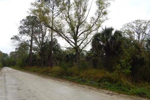 Terreno en venta en Kissimmee, Florida № 1569637 - foto 3