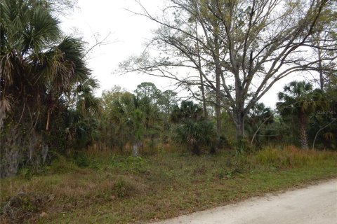 Terreno en venta en Kissimmee, Florida № 1569637 - foto 2