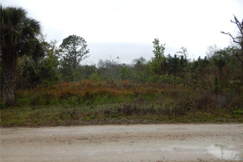 Terreno en venta en Kissimmee, Florida № 1569637 - foto 1