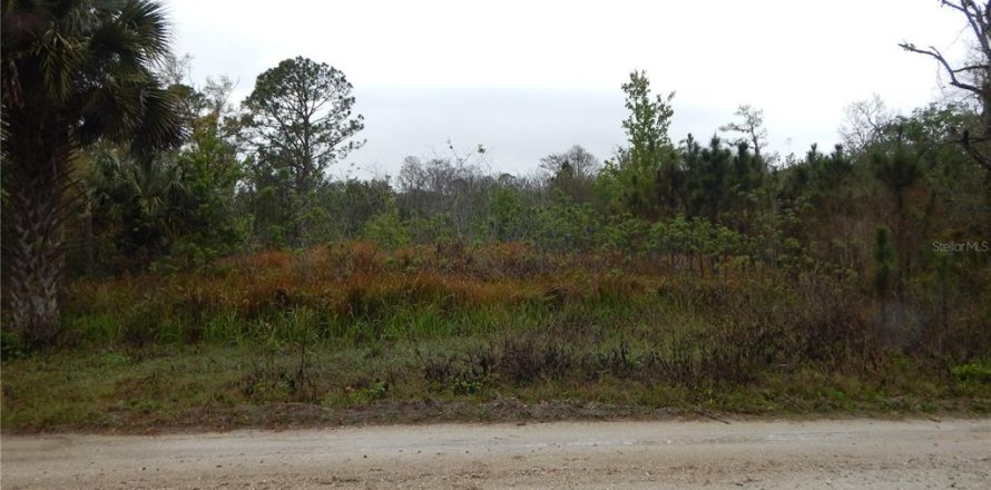 Land in Kissimmee, Florida № 1569637