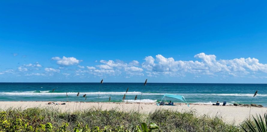 Condo à West Palm Beach, Floride, 2 chambres  № 1045716