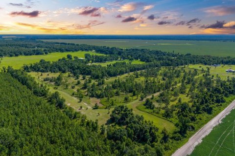 Terreno en venta en Lee, Florida № 1817267 - foto 3