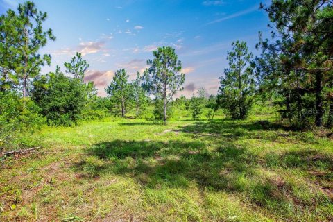 Terreno en venta en Lee, Florida № 1817267 - foto 13