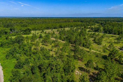 Terreno en venta en Lee, Florida № 1817267 - foto 26