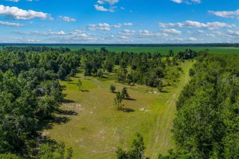 Terreno en venta en Lee, Florida № 1817267 - foto 28