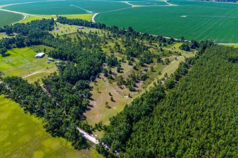 Terreno en venta en Lee, Florida № 1817267 - foto 6