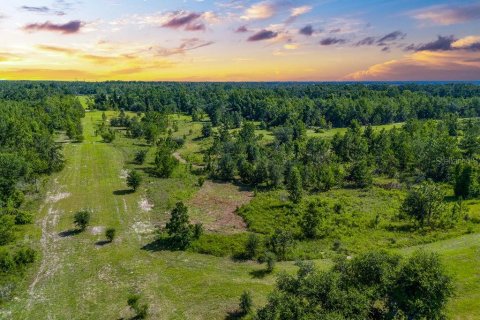 Terreno en venta en Lee, Florida № 1817267 - foto 10