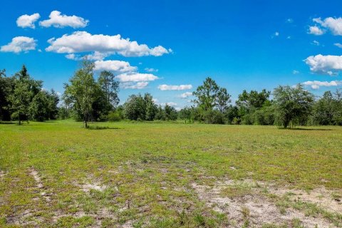 Terreno en venta en Lee, Florida № 1817267 - foto 29