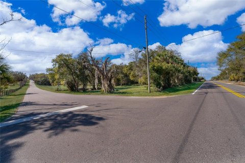 Terrain à Apopka, Floride № 2221676