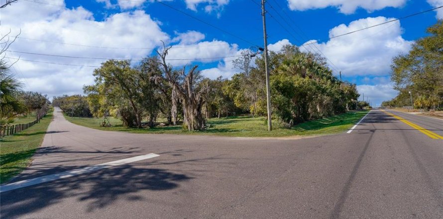 Terrain à Apopka, Floride № 2221676