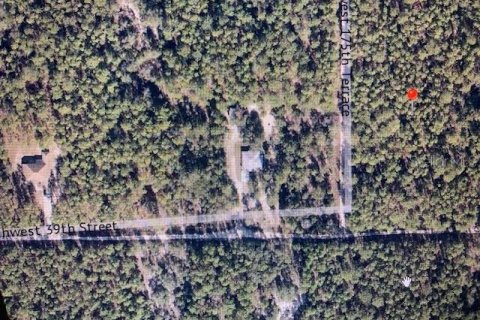 Купить земельный участок в Даннеллон, Флорида № 2105190 - фото 25