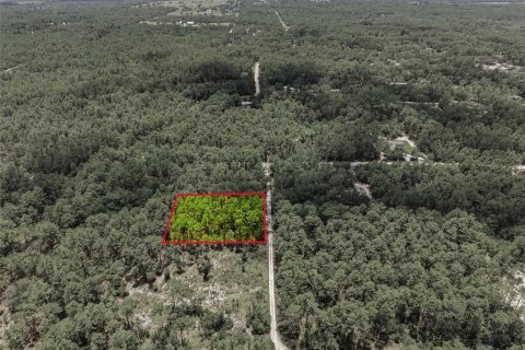 Купить земельный участок в Даннеллон, Флорида № 2105190 - фото 17