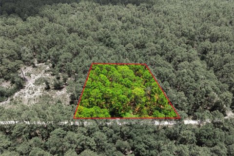 Terrain à Dunnellon, Floride № 2105190