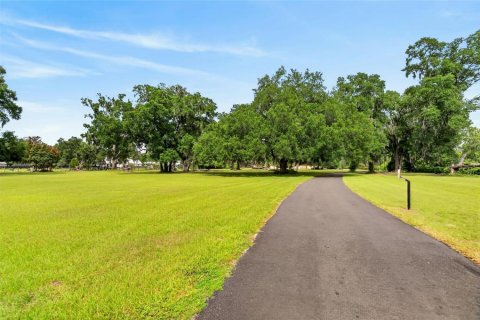 Villa ou maison à vendre à Plant City, Floride: 4 chambres, 350.71 m2 № 2215249 - photo 5
