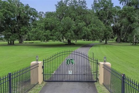Villa ou maison à vendre à Plant City, Floride: 4 chambres, 350.71 m2 № 2215249 - photo 6