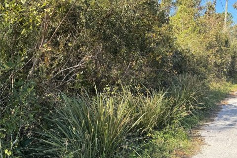 Land in Wesley Chapel, Florida № 1409718 - photo 2