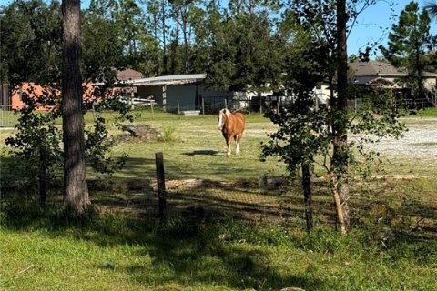 Land in Wesley Chapel, Florida № 1409718 - photo 5