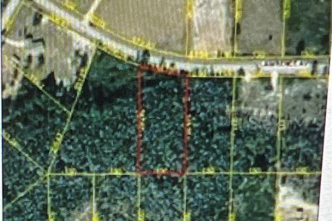 Land in Wesley Chapel, Florida № 1409718 - photo 1