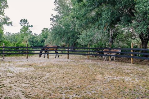 Commercial property in Arcadia, Florida 200.67 sq.m. № 2122427 - photo 12