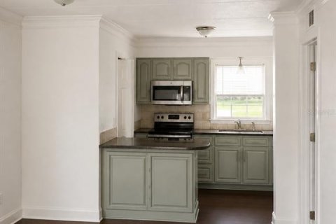 Copropriété à louer à Mount Dora, Floride: 1 chambre, 57.97 m2 № 2386616 - photo 4