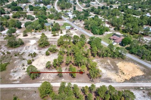 Land in Lake Placid, Florida № 2161800 - photo 5