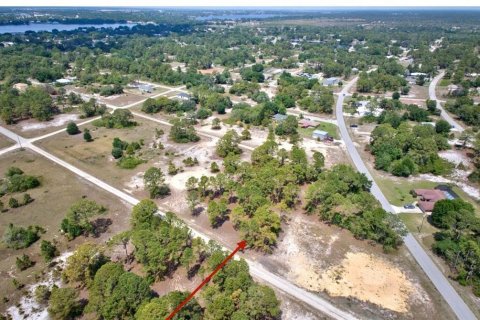 Land in Lake Placid, Florida № 2161800 - photo 4