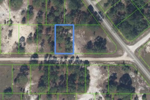 Land in Lake Placid, Florida № 2161800 - photo 10