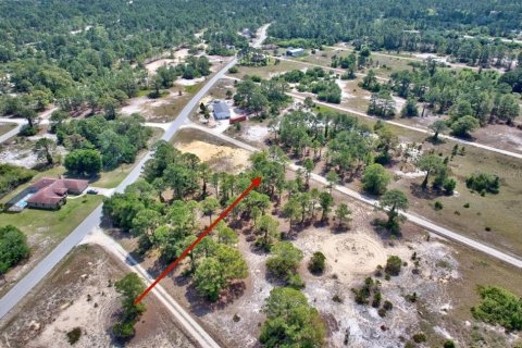 Land in Lake Placid, Florida № 2161800 - photo 2