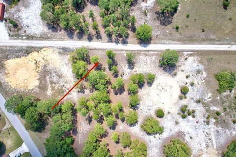 Land in Lake Placid, Florida № 2161800