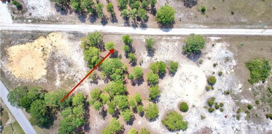 Land in Lake Placid, Florida № 2161800