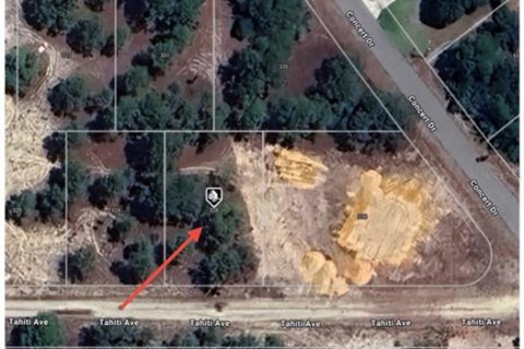 Land in Lake Placid, Florida № 2161800 - photo 8