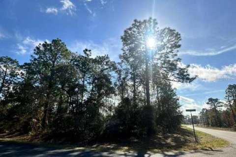 Land in Citrus Springs, Florida № 2158834 - photo 2