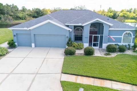 Villa ou maison à vendre à Riverview, Floride: 4 chambres, 215.07 m2 № 2418704 - photo 4