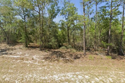 Land in Dunnellon, Florida № 2234915