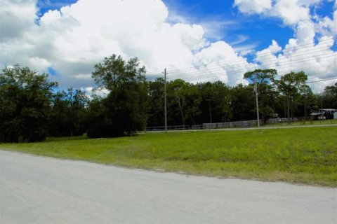 Land in Brooksville, Florida № 2160989