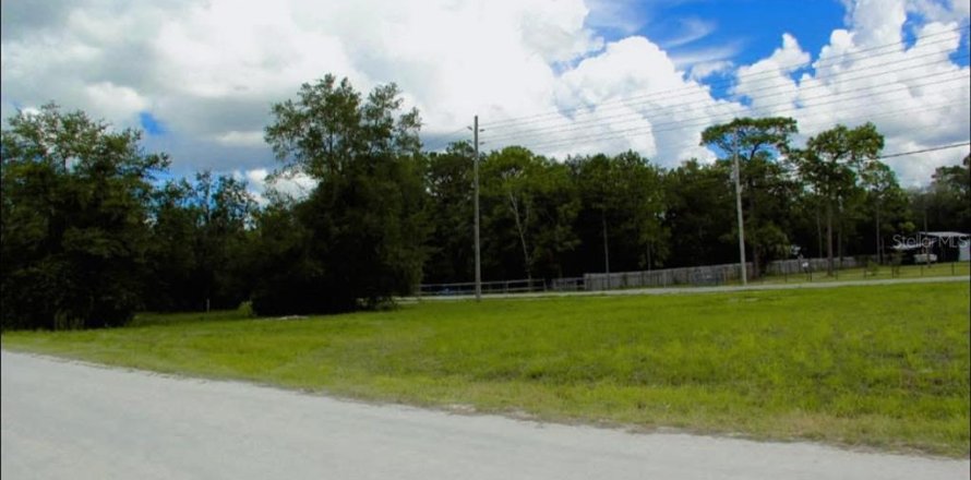 Land in Brooksville, Florida № 2160989