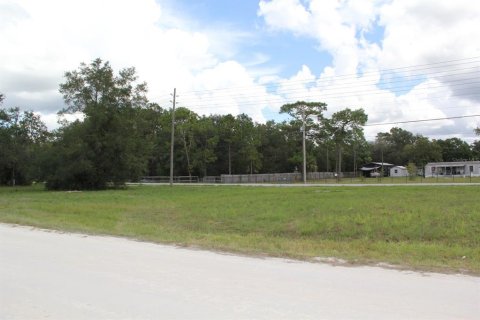Land in Brooksville, Florida № 2160989 - photo 3