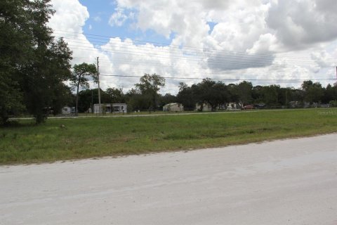 Land in Brooksville, Florida № 2160989 - photo 5