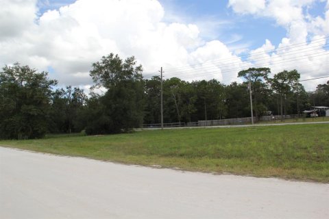 Land in Brooksville, Florida № 2160989 - photo 4