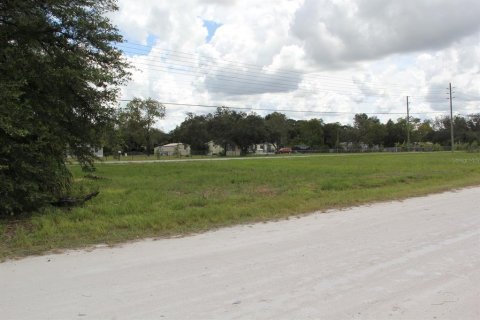 Land in Brooksville, Florida № 2160989 - photo 2