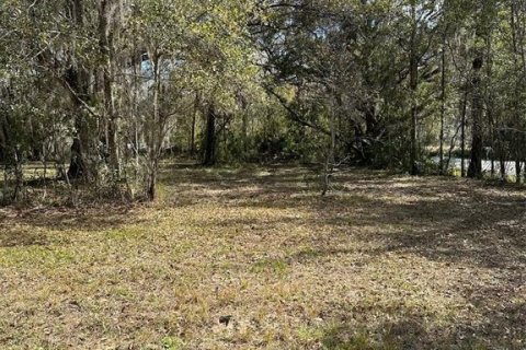 Land in Brooksville, Florida № 1004127 - photo 4