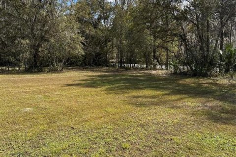 Land in Brooksville, Florida № 1004127 - photo 5
