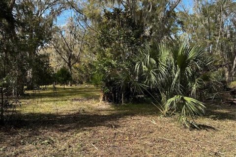 Land in Brooksville, Florida № 1004127 - photo 3