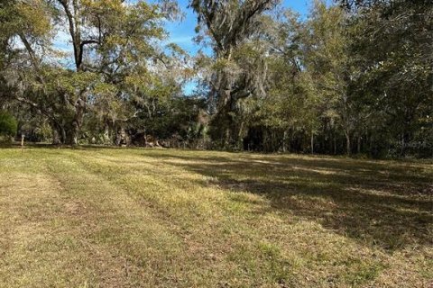 Land in Brooksville, Florida № 1004127 - photo 1