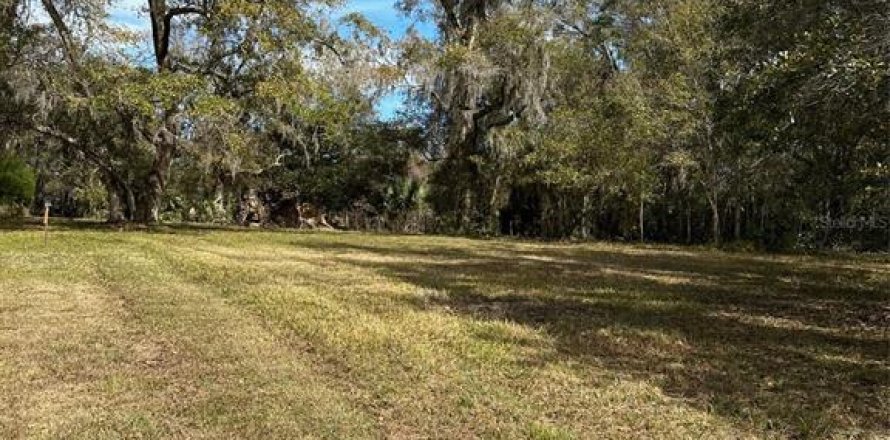 Land in Brooksville, Florida № 1004127