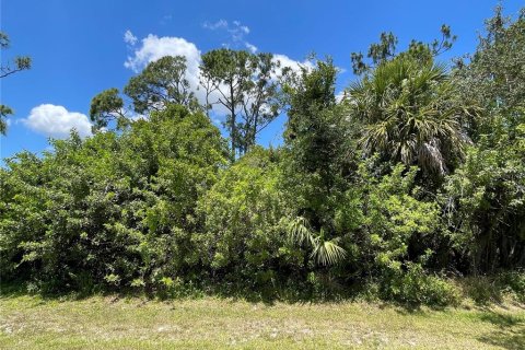 Terreno en Port Charlotte, Florida № 2224019