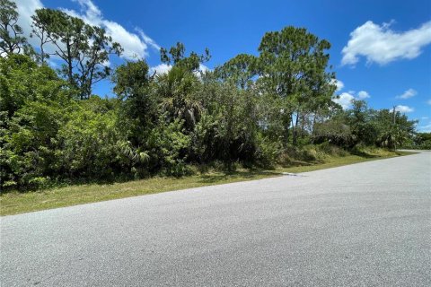 Купить земельный участок в Порт-Шарлотт, Флорида № 2224019 - фото 9